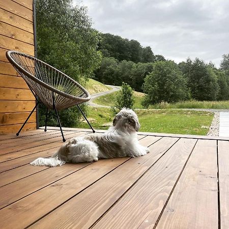 Mini Valley House 1 Sita Buzaului Екстер'єр фото