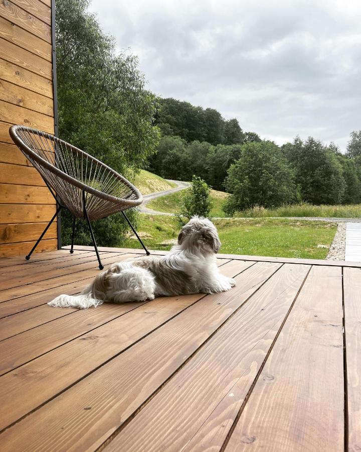 Mini Valley House 1 Sita Buzaului Екстер'єр фото